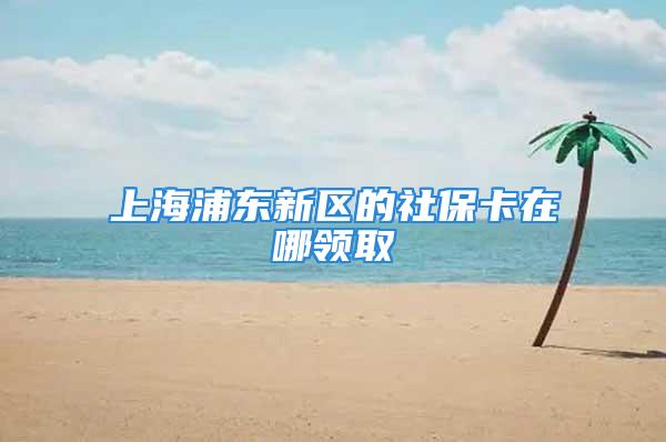 上海浦東新區(qū)的社?？ㄔ谀念I(lǐng)取