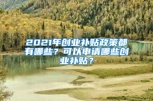 2021年創(chuàng)業(yè)補(bǔ)貼政策都有哪些？可以申請(qǐng)哪些創(chuàng)業(yè)補(bǔ)貼？