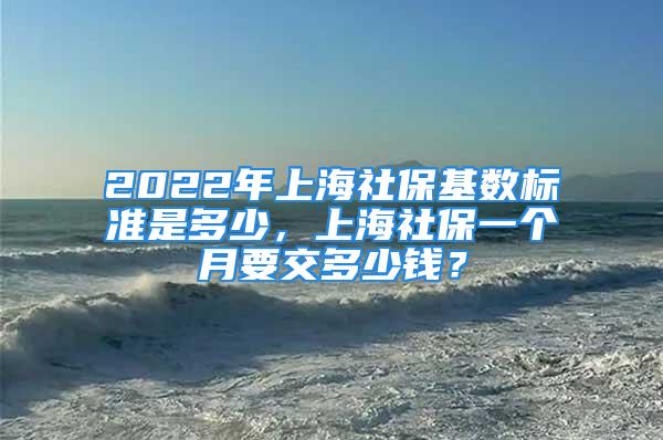 2022年上海社?；鶖?shù)標(biāo)準(zhǔn)是多少，上海社保一個月要交多少錢？