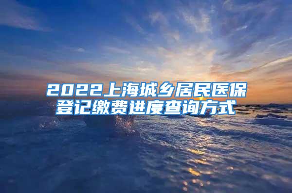 2022上海城鄉(xiāng)居民醫(yī)保登記繳費進度查詢方式