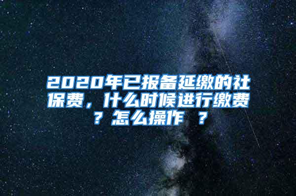 2020年已報(bào)備延繳的社保費(fèi)，什么時(shí)候進(jìn)行繳費(fèi)？怎么操作 ？