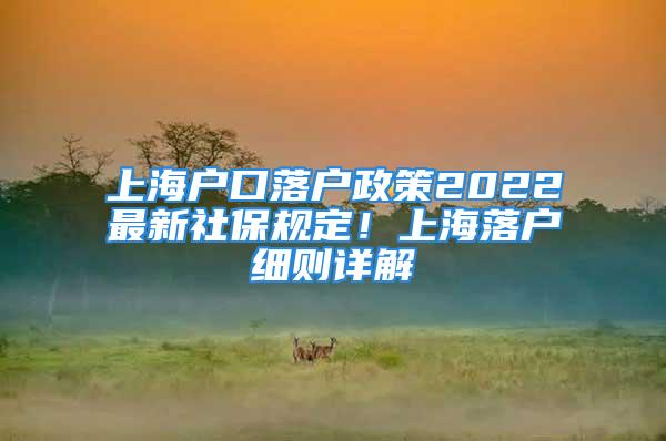 上海戶口落戶政策2022最新社保規(guī)定！上海落戶細(xì)則詳解