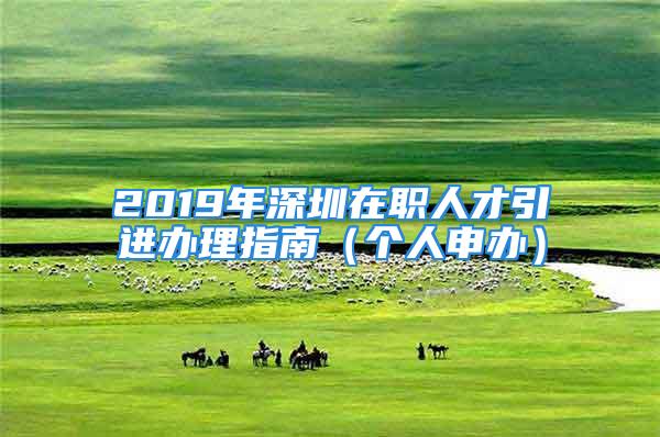 2019年深圳在職人才引進(jìn)辦理指南（個人申辦）