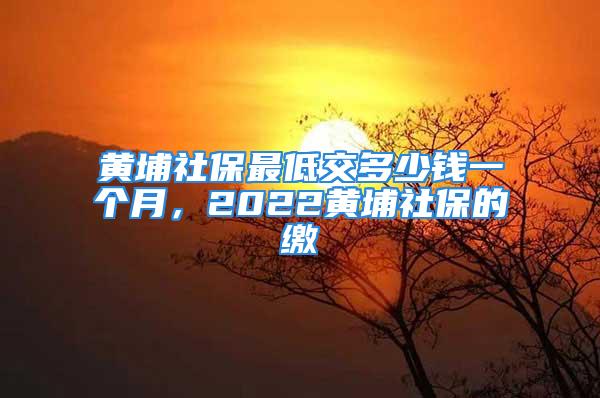 黃埔社保最低交多少錢一個月，2022黃埔社保的繳