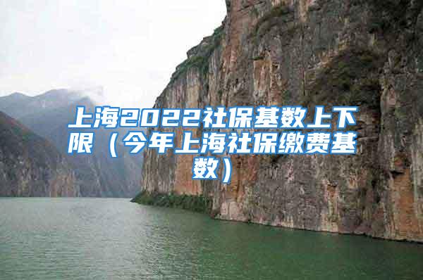 上海2022社?；鶖?shù)上下限（今年上海社保繳費基數(shù)）