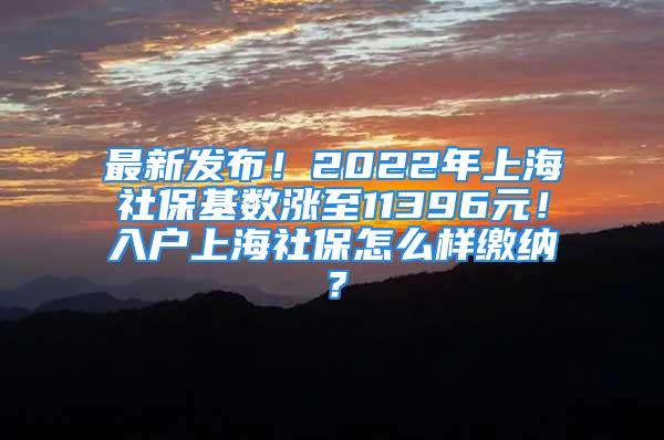 最新發(fā)布！2022年上海社?；鶖?shù)漲至11396元！入戶上海社保怎么樣繳納？