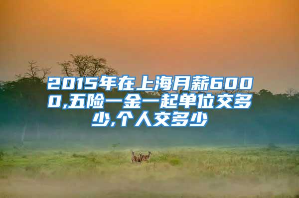 2015年在上海月薪6000,五險(xiǎn)一金一起單位交多少,個(gè)人交多少