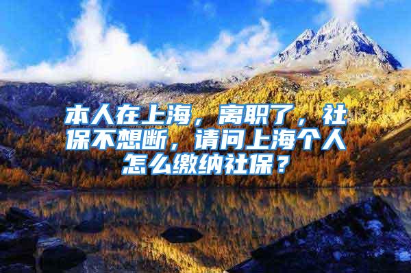 本人在上海，離職了，社保不想斷，請問上海個人怎么繳納社保？