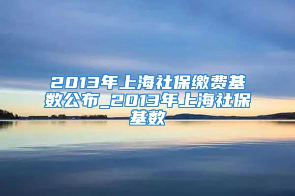 2013年上海社保繳費(fèi)基數(shù)公布_2013年上海社?；鶖?shù)