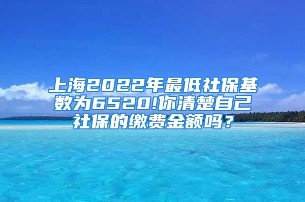 上海2022年最低社?；鶖?shù)為6520!你清楚自己社保的繳費金額嗎？