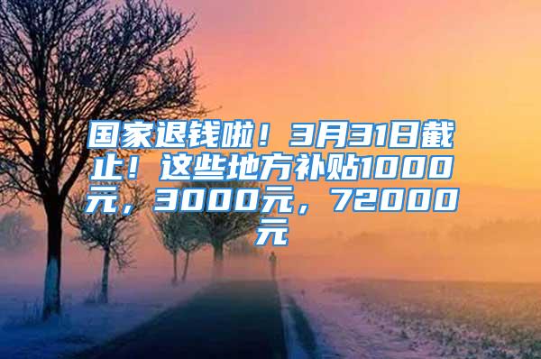 國家退錢啦！3月31日截止！這些地方補貼1000元，3000元，72000元