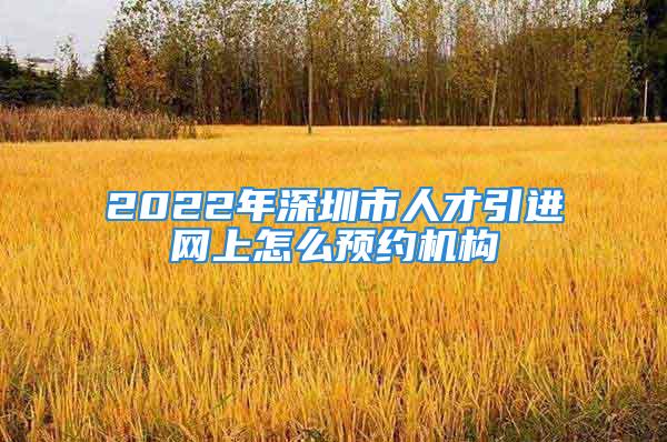 2022年深圳市人才引進網(wǎng)上怎么預(yù)約機構(gòu)