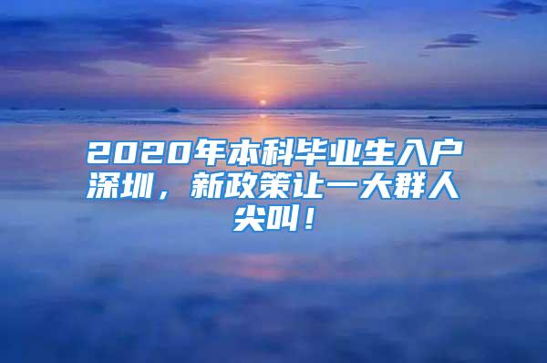 2020年本科畢業(yè)生入戶深圳，新政策讓一大群人尖叫！