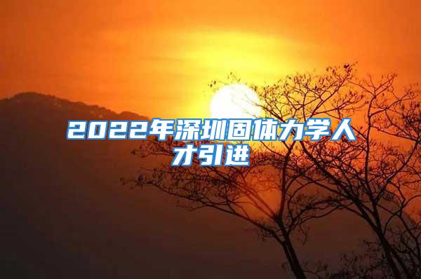 2022年深圳固體力學人才引進