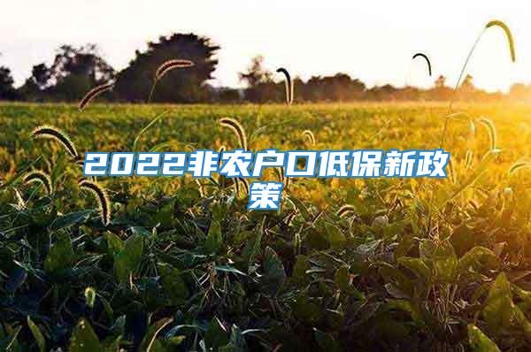 2022非農(nóng)戶口低保新政策