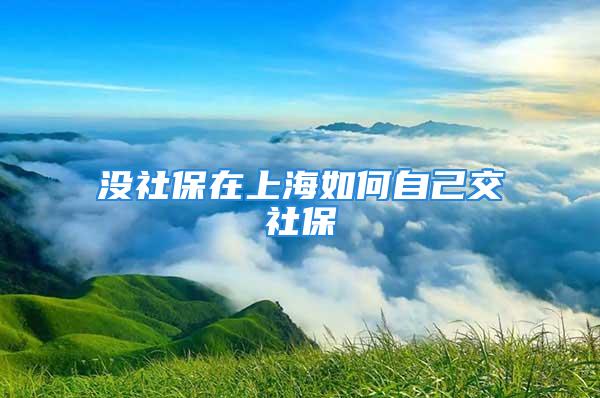 沒社保在上海如何自己交社保