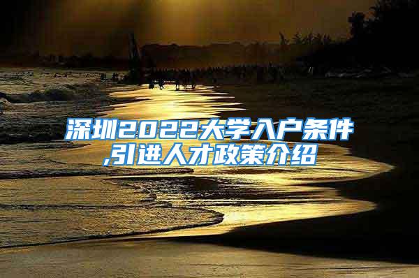 深圳2022大學(xué)入戶(hù)條件,引進(jìn)人才政策介紹