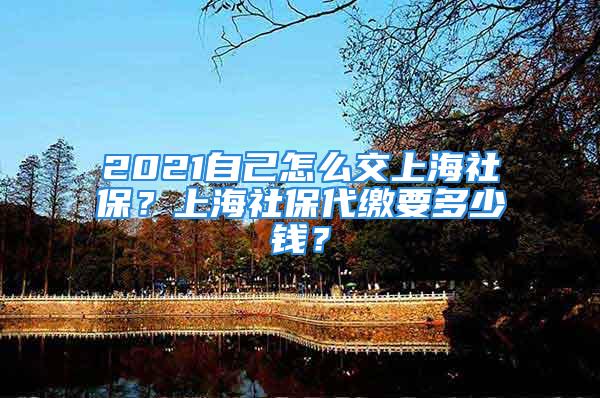 2021自己怎么交上海社保？上海社保代繳要多少錢(qián)？