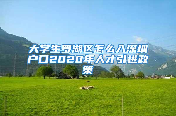 大學生羅湖區(qū)怎么入深圳戶口2020年人才引進政策