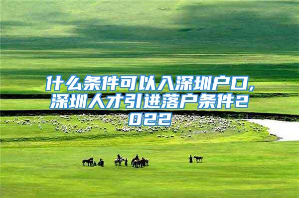 什么條件可以入深圳戶口,深圳人才引進落戶條件2022