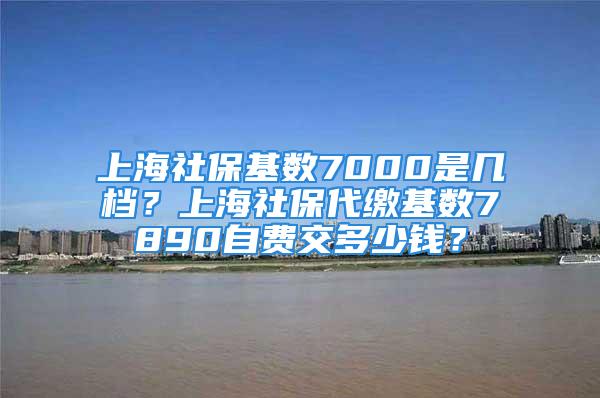 上海社?；鶖?shù)7000是幾檔？上海社保代繳基數(shù)7890自費交多少錢？