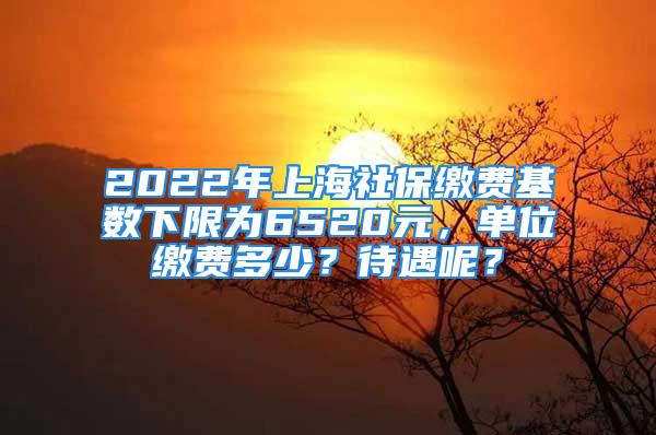 2022年上海社保繳費(fèi)基數(shù)下限為6520元，單位繳費(fèi)多少？待遇呢？