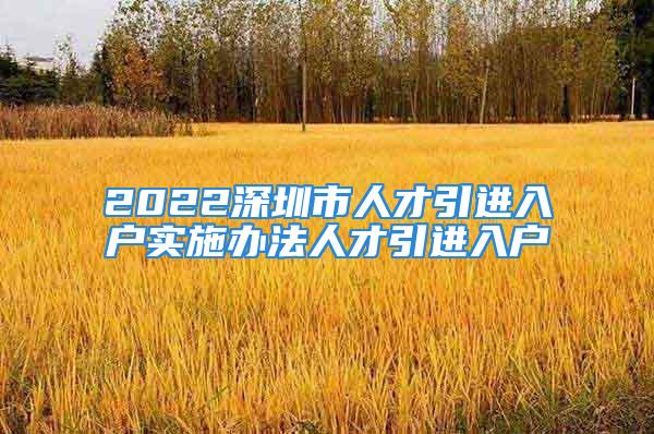 2022深圳市人才引進(jìn)入戶實(shí)施辦法人才引進(jìn)入戶