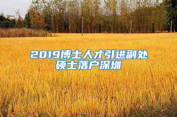 2019博士人才引進(jìn)副處碩士落戶深圳