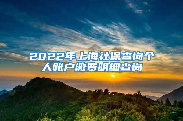 2022年上海社保查詢個人賬戶繳費明細查詢