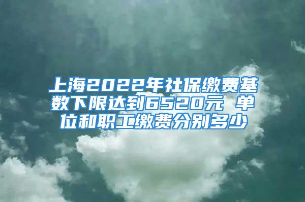 上海2022年社保繳費(fèi)基數(shù)下限達(dá)到6520元 單位和職工繳費(fèi)分別多少