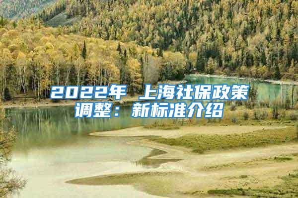 2022年 上海社保政策調(diào)整：新標準介紹