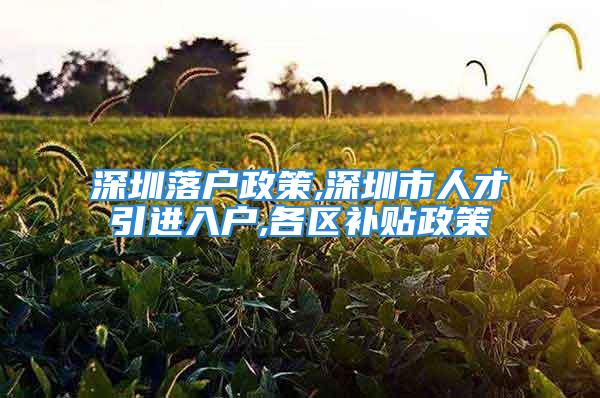 深圳落戶政策,深圳市人才引進入戶,各區(qū)補貼政策