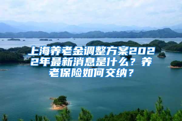 上海養(yǎng)老金調(diào)整方案2022年最新消息是什么？養(yǎng)老保險如何交納？