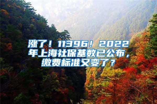 漲了！11396！2022年上海社保基數(shù)已公布，繳費(fèi)標(biāo)準(zhǔn)又變了？