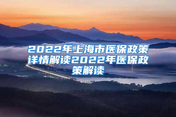 2022年上海市醫(yī)保政策詳情解讀2022年醫(yī)保政策解讀