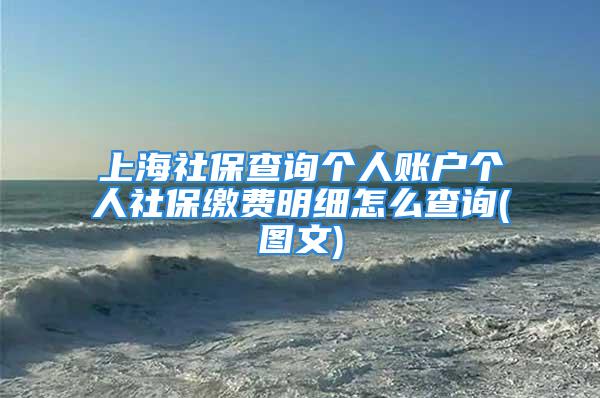 上海社保查詢個人賬戶個人社保繳費明細(xì)怎么查詢(圖文)