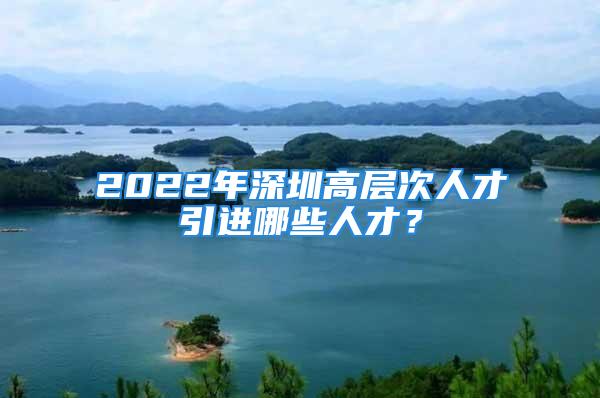 2022年深圳高層次人才引進(jìn)哪些人才？