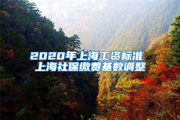 2020年上海工資標(biāo)準(zhǔn) 上海社保繳費(fèi)基數(shù)調(diào)整