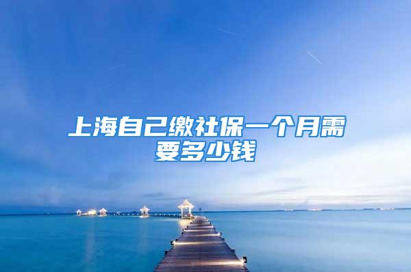 上海自己繳社保一個(gè)月需要多少錢(qián)