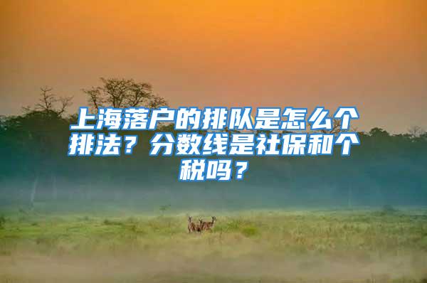 上海落戶的排隊(duì)是怎么個(gè)排法？分?jǐn)?shù)線是社保和個(gè)稅嗎？