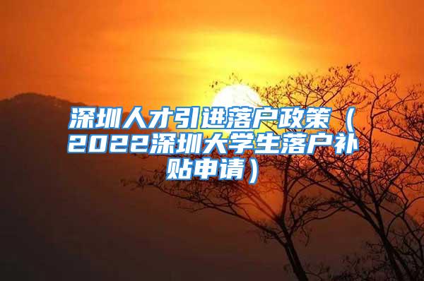 深圳人才引進(jìn)落戶政策（2022深圳大學(xué)生落戶補(bǔ)貼申請）