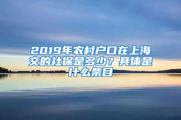 2019年農村戶口在上海交的社保是多少？具體是什么條目