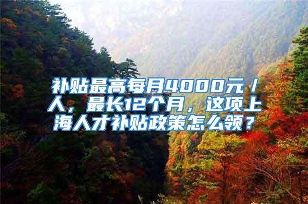 補貼最高每月4000元／人，最長12個月，這項上海人才補貼政策怎么領？