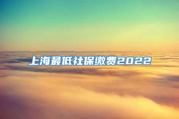 上海最低社保繳費(fèi)2022