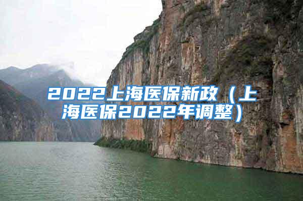 2022上海醫(yī)保新政（上海醫(yī)保2022年調(diào)整）