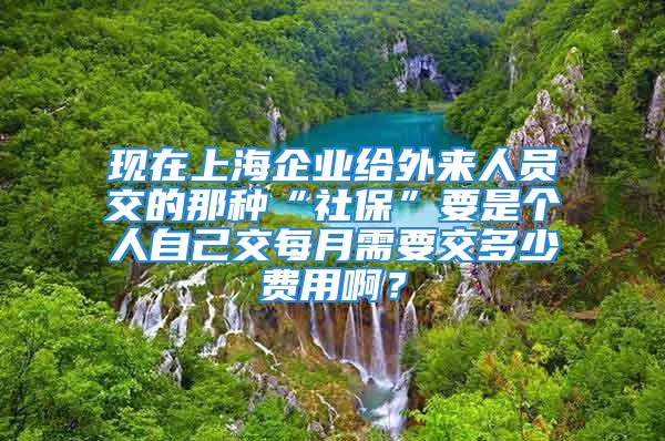 現(xiàn)在上海企業(yè)給外來人員交的那種“社?！币莻€人自己交每月需要交多少費用啊？