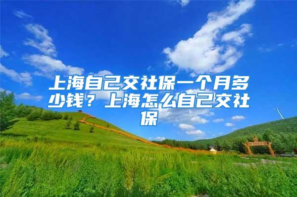 上海自己交社保一個(gè)月多少錢(qián)？上海怎么自己交社保