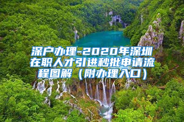 深戶辦理-2020年深圳在職人才引進秒批申請流程圖解（附辦理入口）