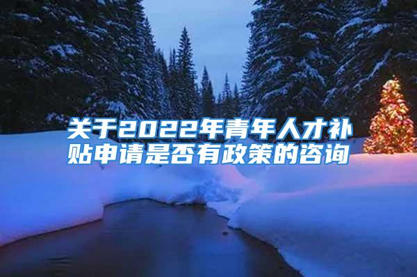 關(guān)于2022年青年人才補(bǔ)貼申請(qǐng)是否有政策的咨詢