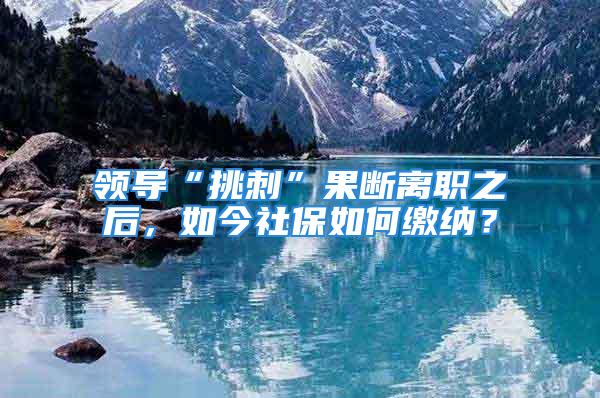 領(lǐng)導(dǎo)“挑刺”果斷離職之后，如今社保如何繳納？